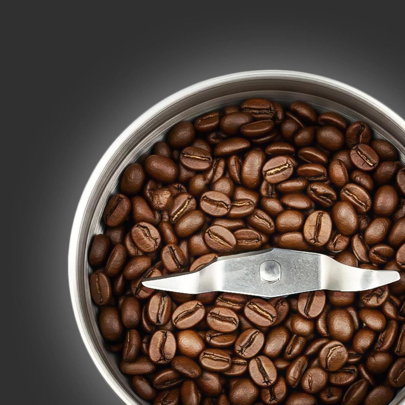 Кофемолка Zigmund & Shtain ZCG-10