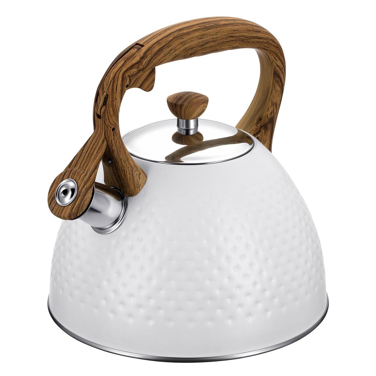 Чайник со свистком 2.8 л REGENT inox TEA фото