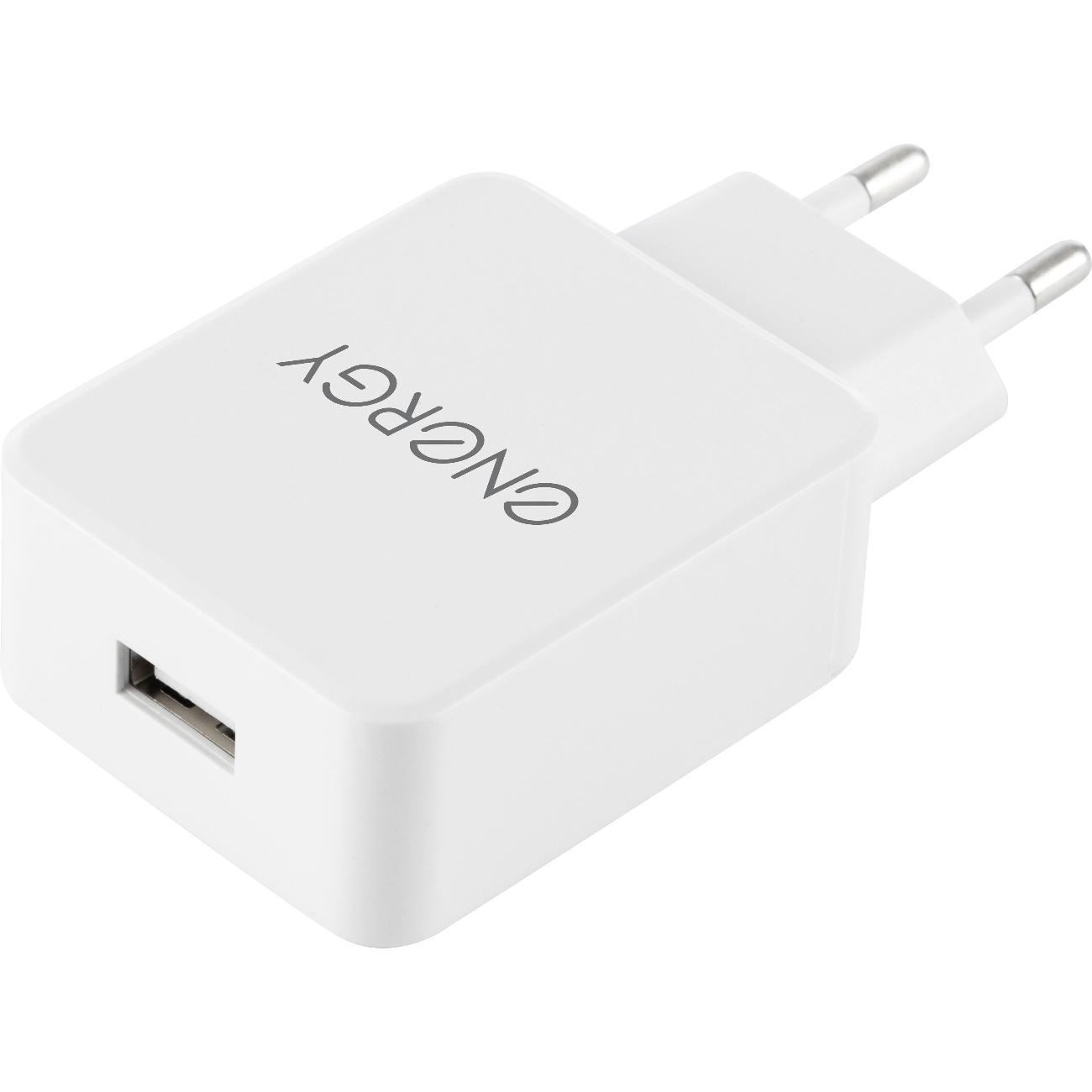 Сетевое зарядное устройство Energy ET-32