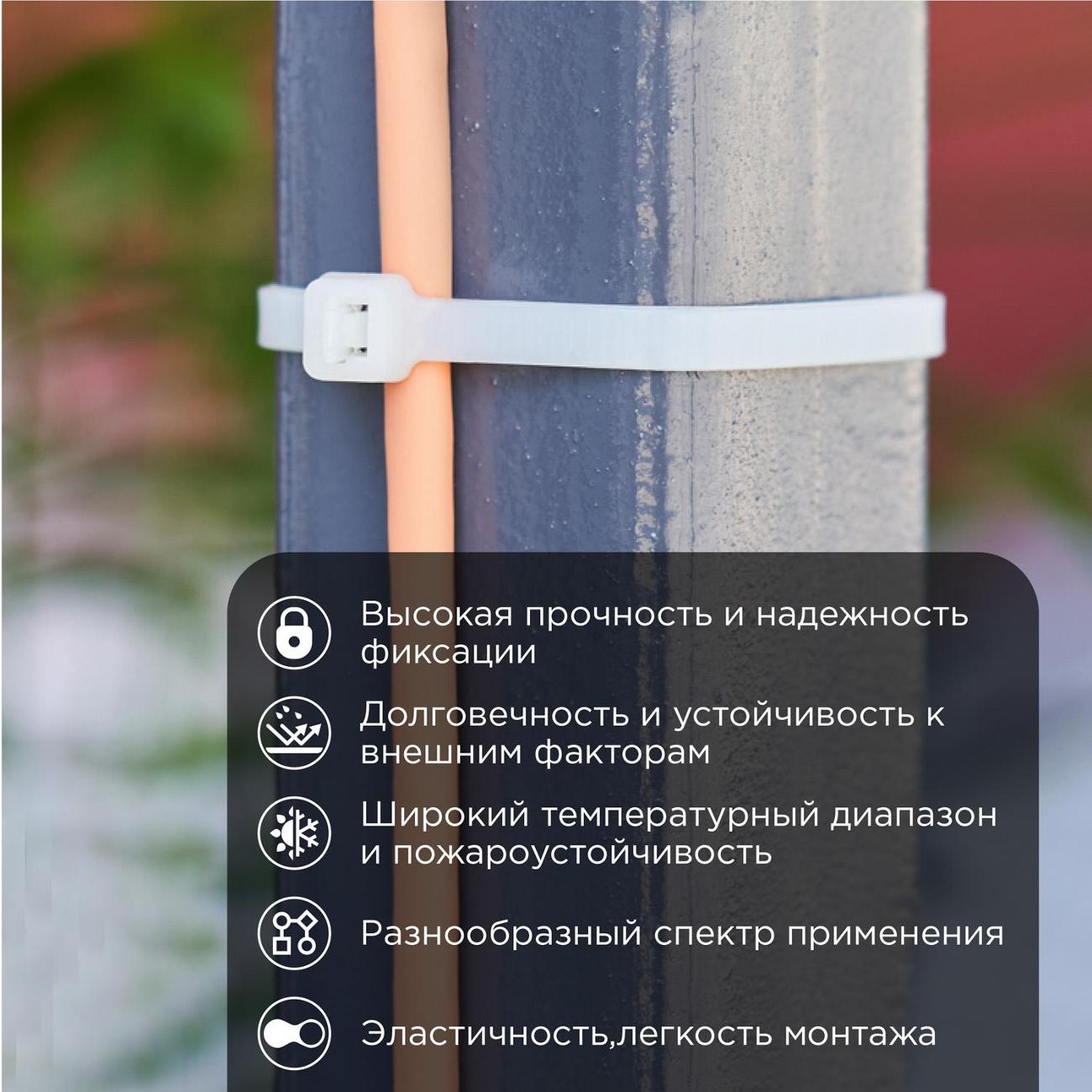 Стяжка Rexant 07-1302