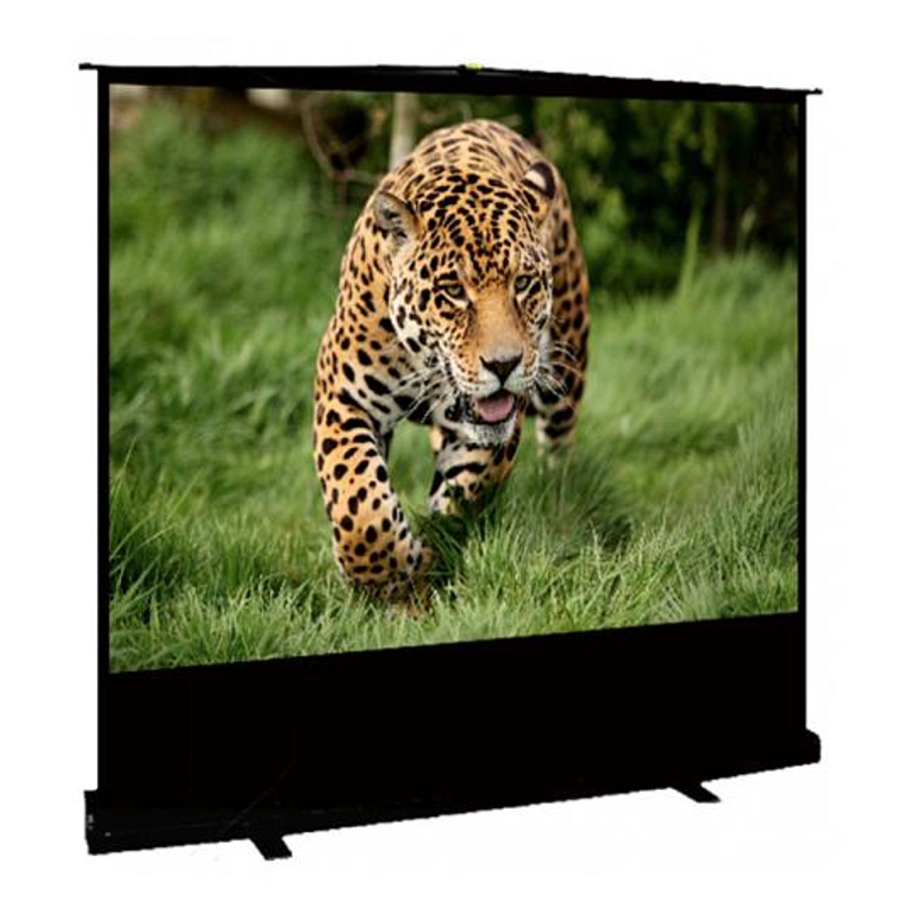 Экран для видеопроектора S'ok SCPSF-91x122