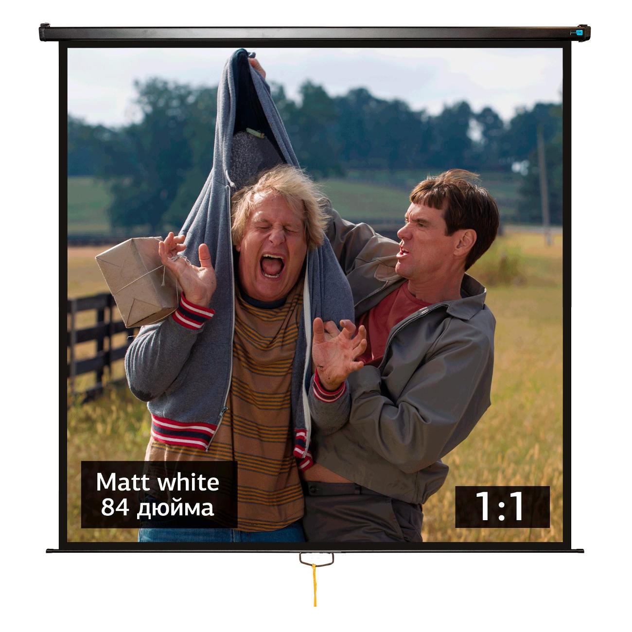 Экран для видеопроектора S'ok SCPSW-150x150BLCK