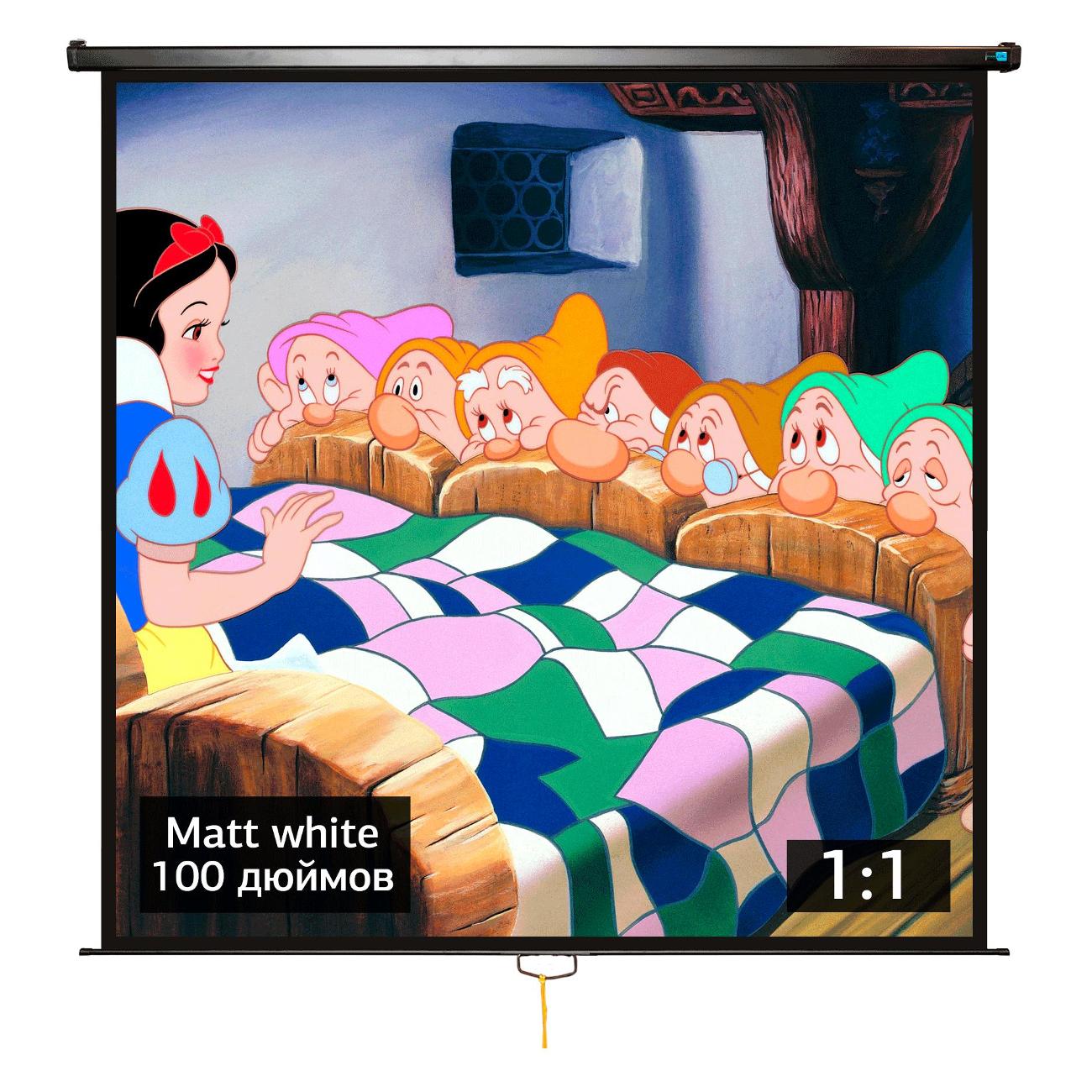 Экран для видеопроектора S'ok SCPSW-180x180BLCK