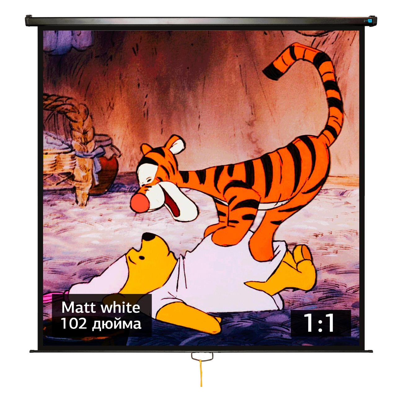 Экран для видеопроектора S'ok SCPSW-183x183BLCK