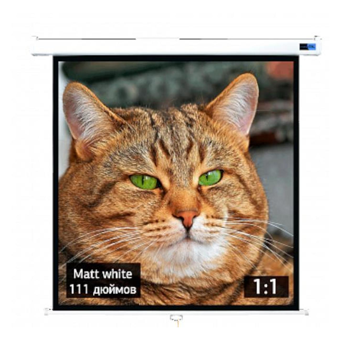 Экран для видеопроектора S'ok SCPSW-200x200