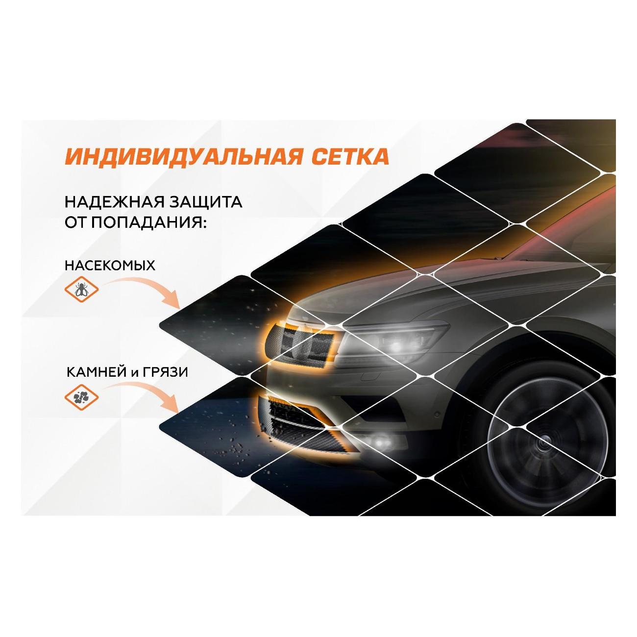 Сетка защитная для радиатора AutoMax INDIV.ZS.0905.1