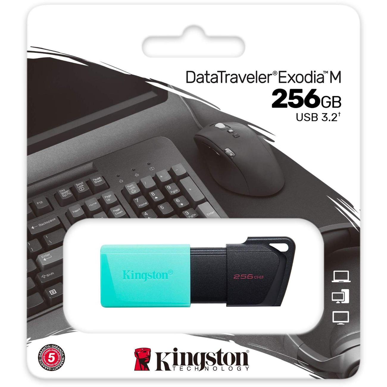 Флэш диск USB Kingston Exodia M DTXM/256GB