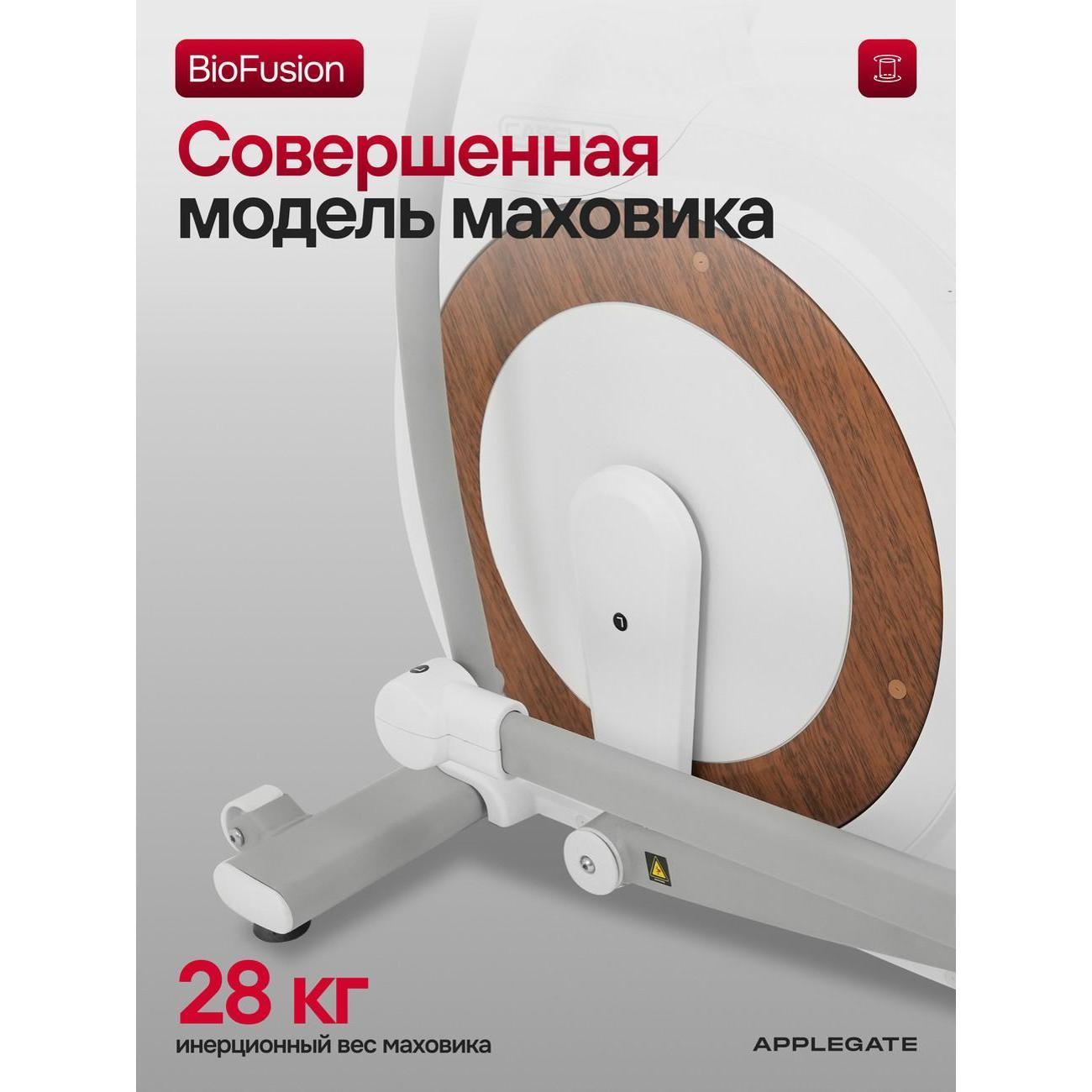 Эллипсоид Applegate CAPELLA