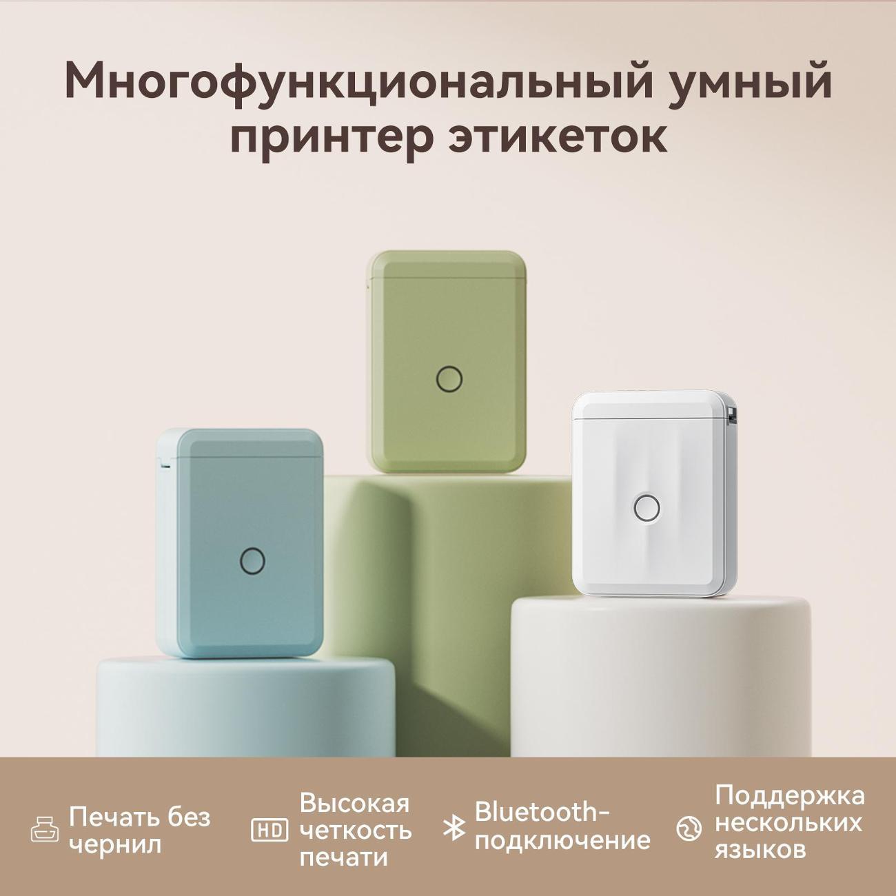 Принтер этикеток NIIMBOT D110_M Белый