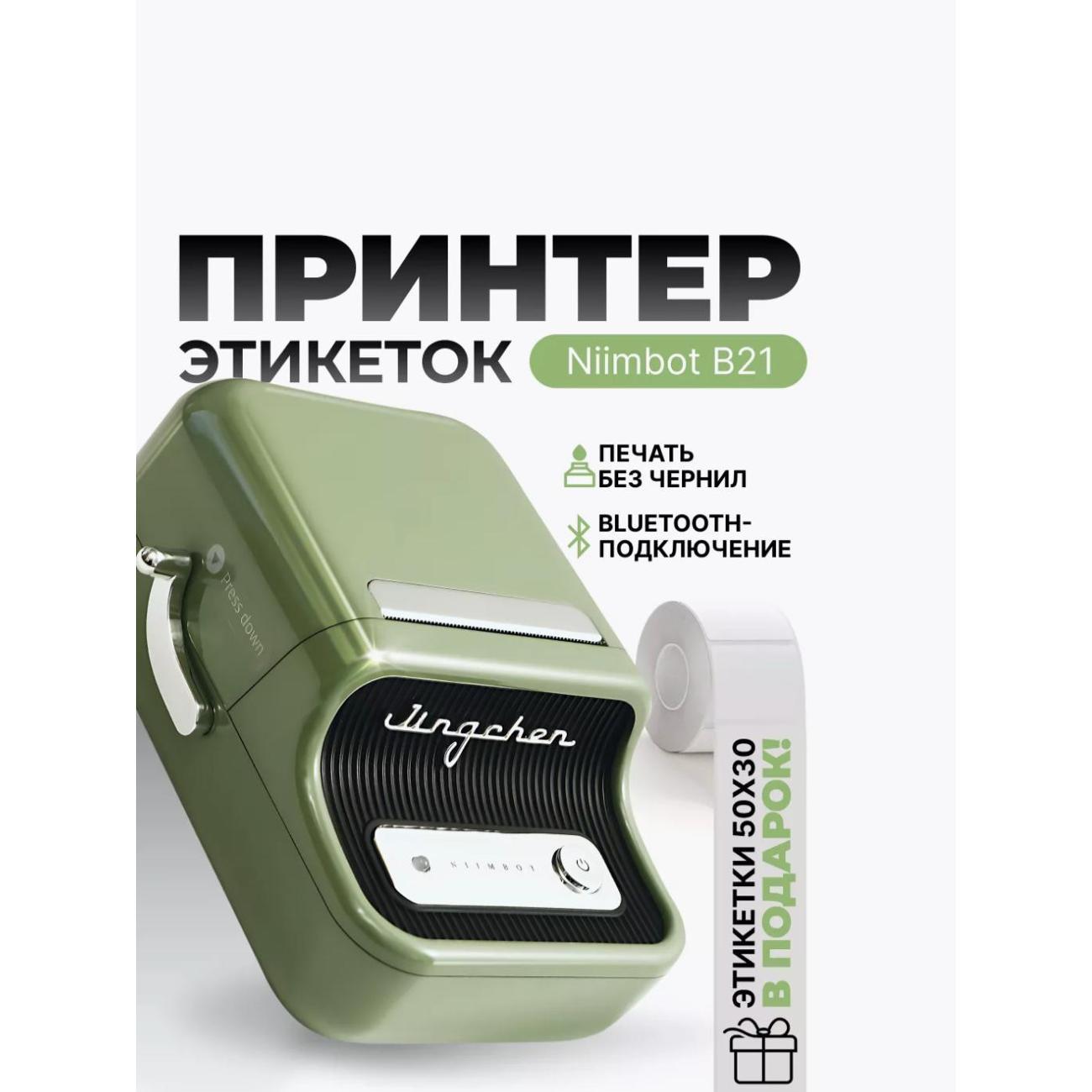 Принтер этикеток NIIMBOT B21S Зеленый