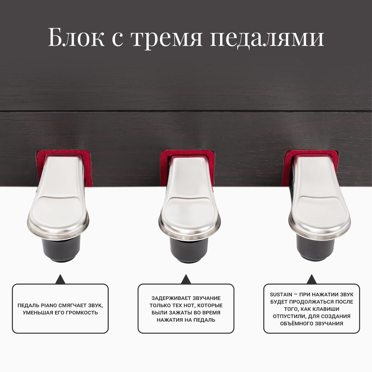 Цифровое пианино Tesler STZ-8870 Rosewood