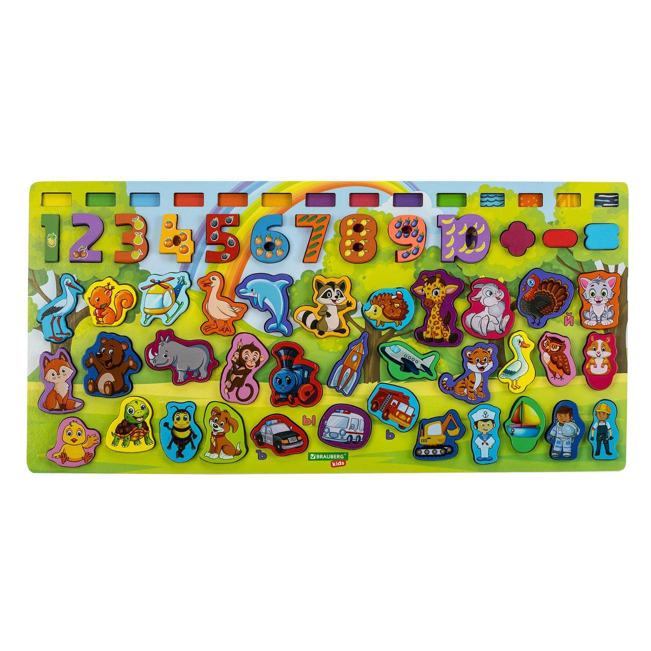 Сортер Brauberg 665242