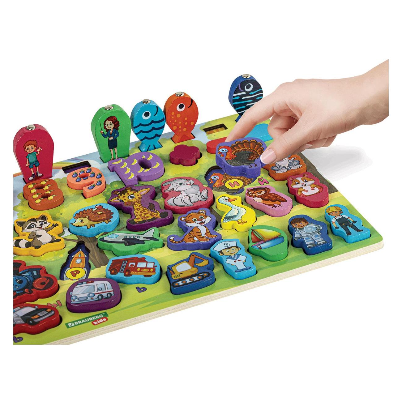 Сортер Brauberg 665242