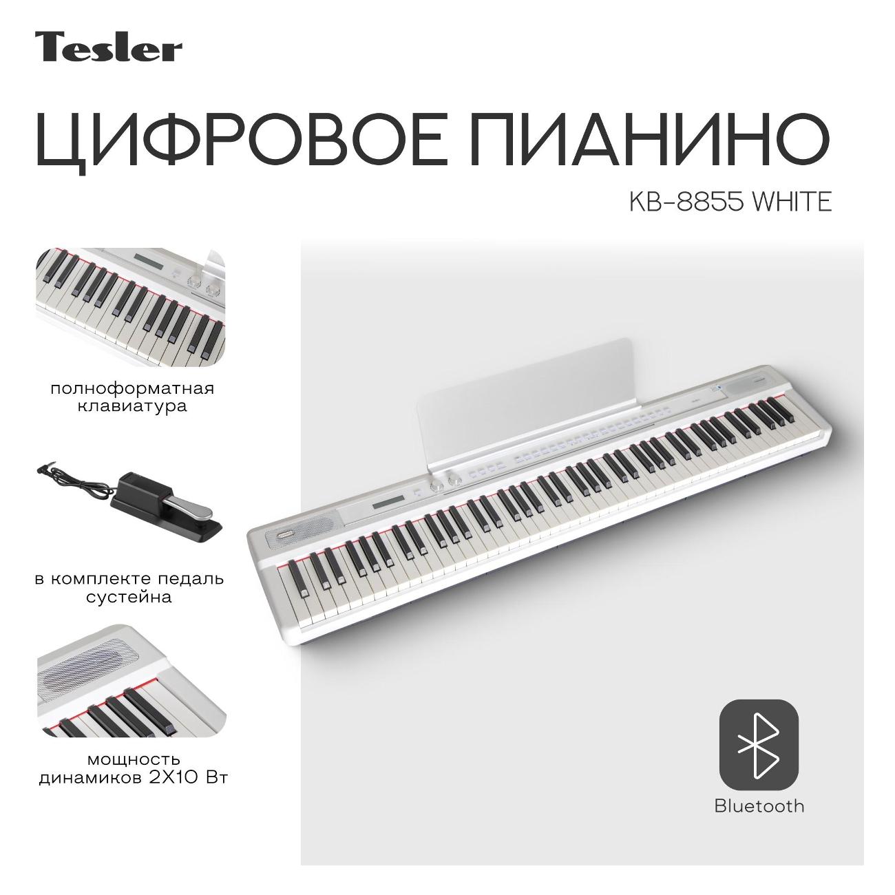 Цифровое пианино Tesler KB-8855 белый