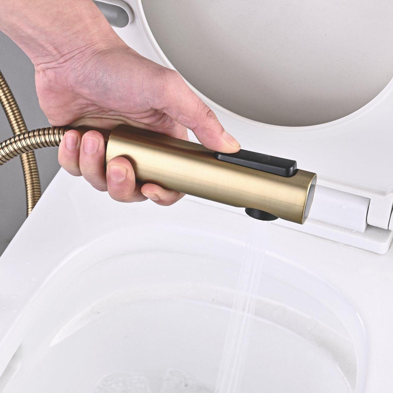 Гигиенический душ Shevanik S6105G-1