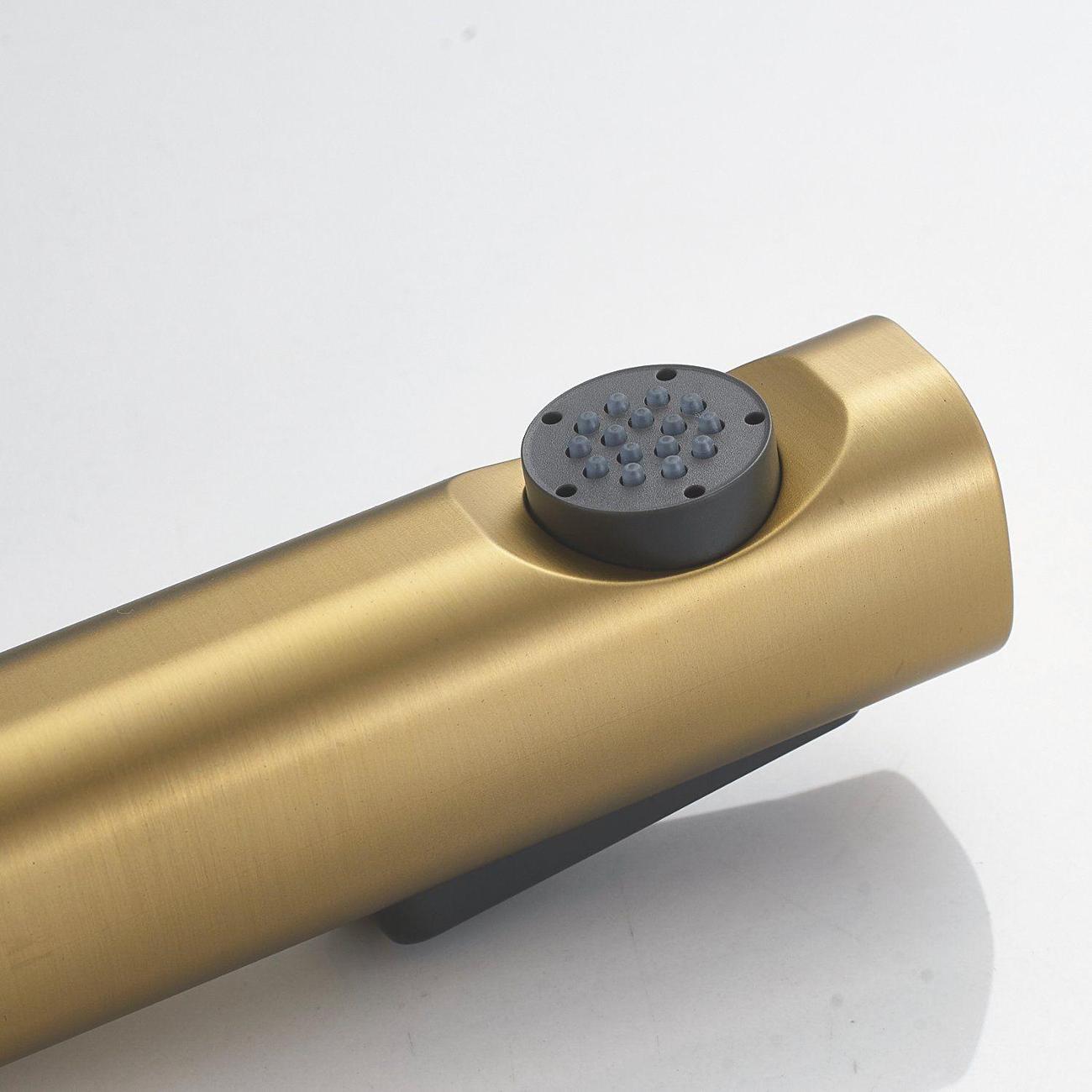 Гигиенический душ Shevanik S9905G-1