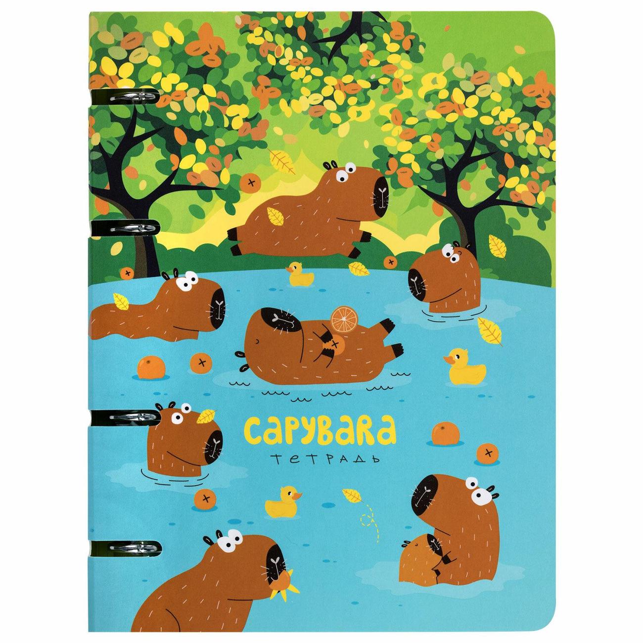Тетрадь на кольцах 120 листов Brauberg Капибары 404731 фото