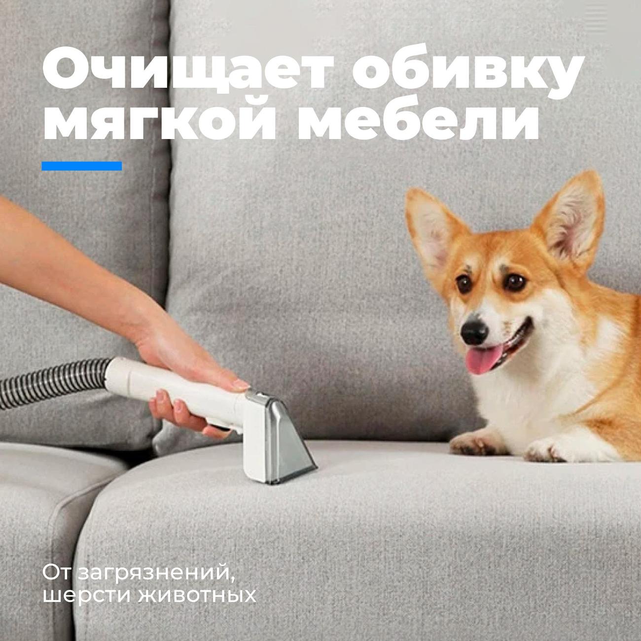 Пылесос моющий FUTULA P8