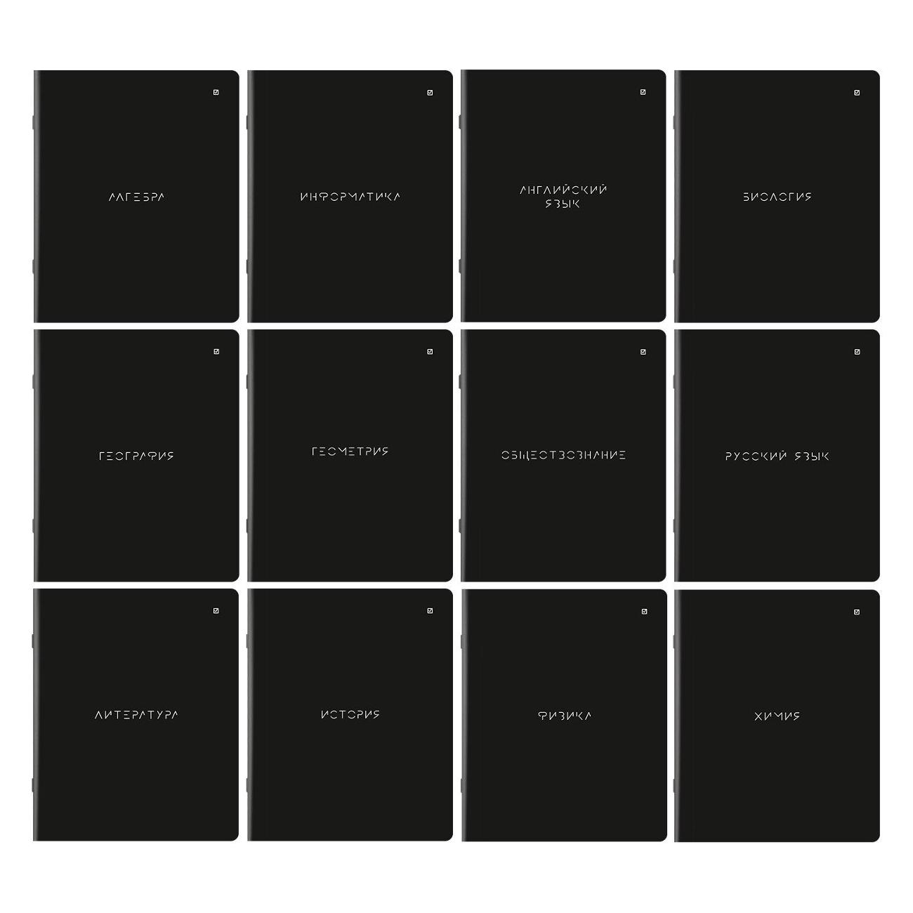 Тетрадь Brauberg 12шт MINIMAL 404831