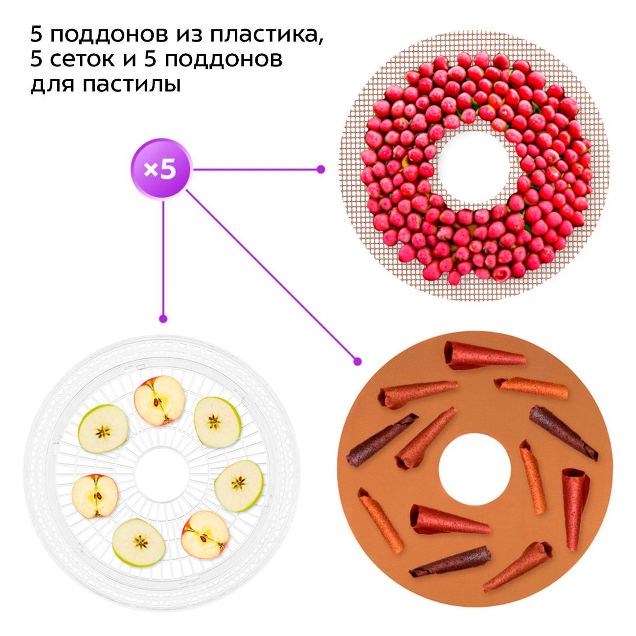 Сушка для фруктов Kitfort КТ-1996