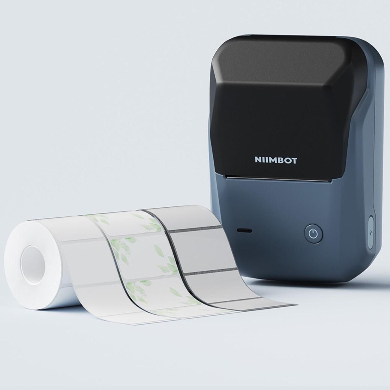 Принтер этикеток NIIMBOT B1 голубое озеро