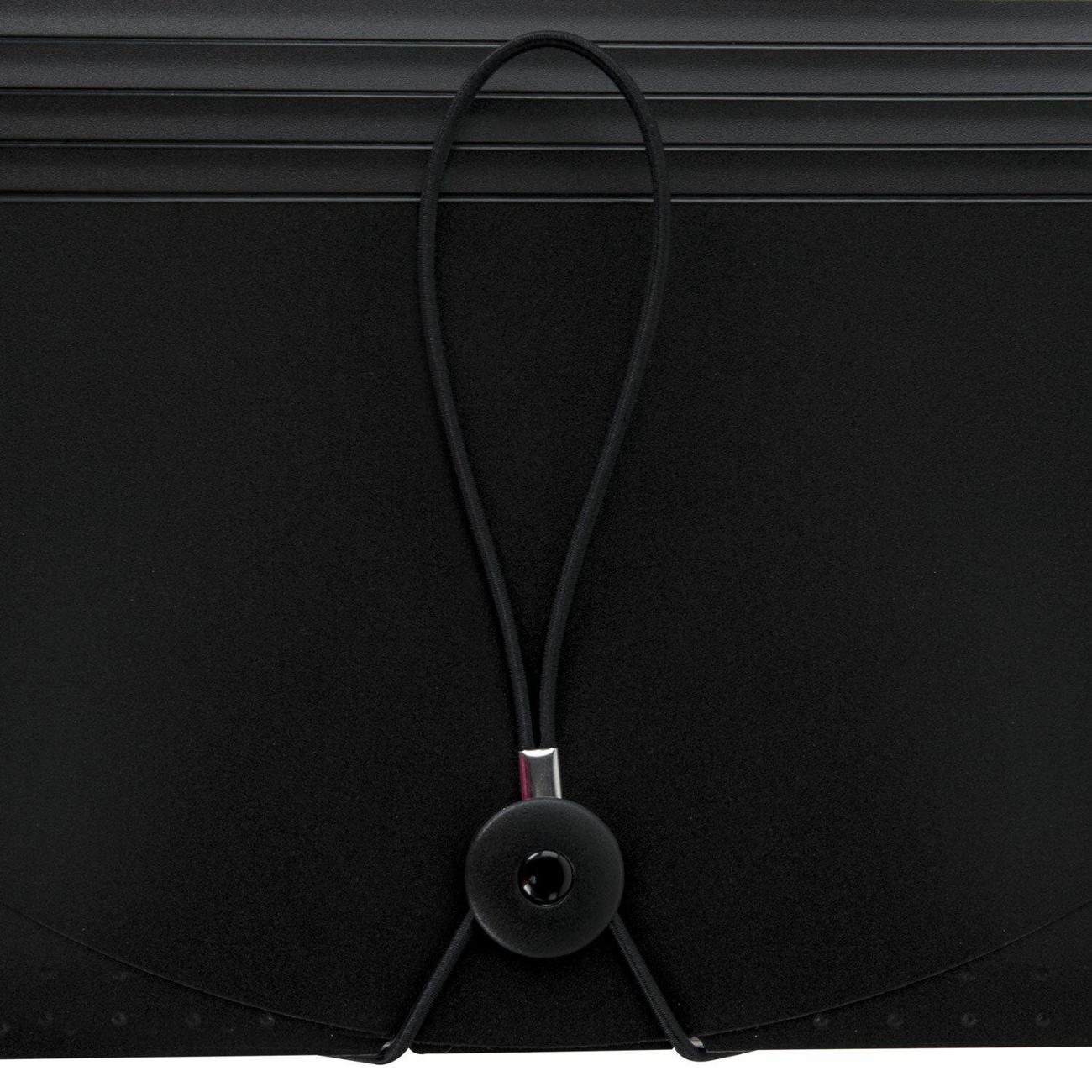 Папка А4 для документов Brauberg 13 отделений, DOCS, А4, черная, 271152