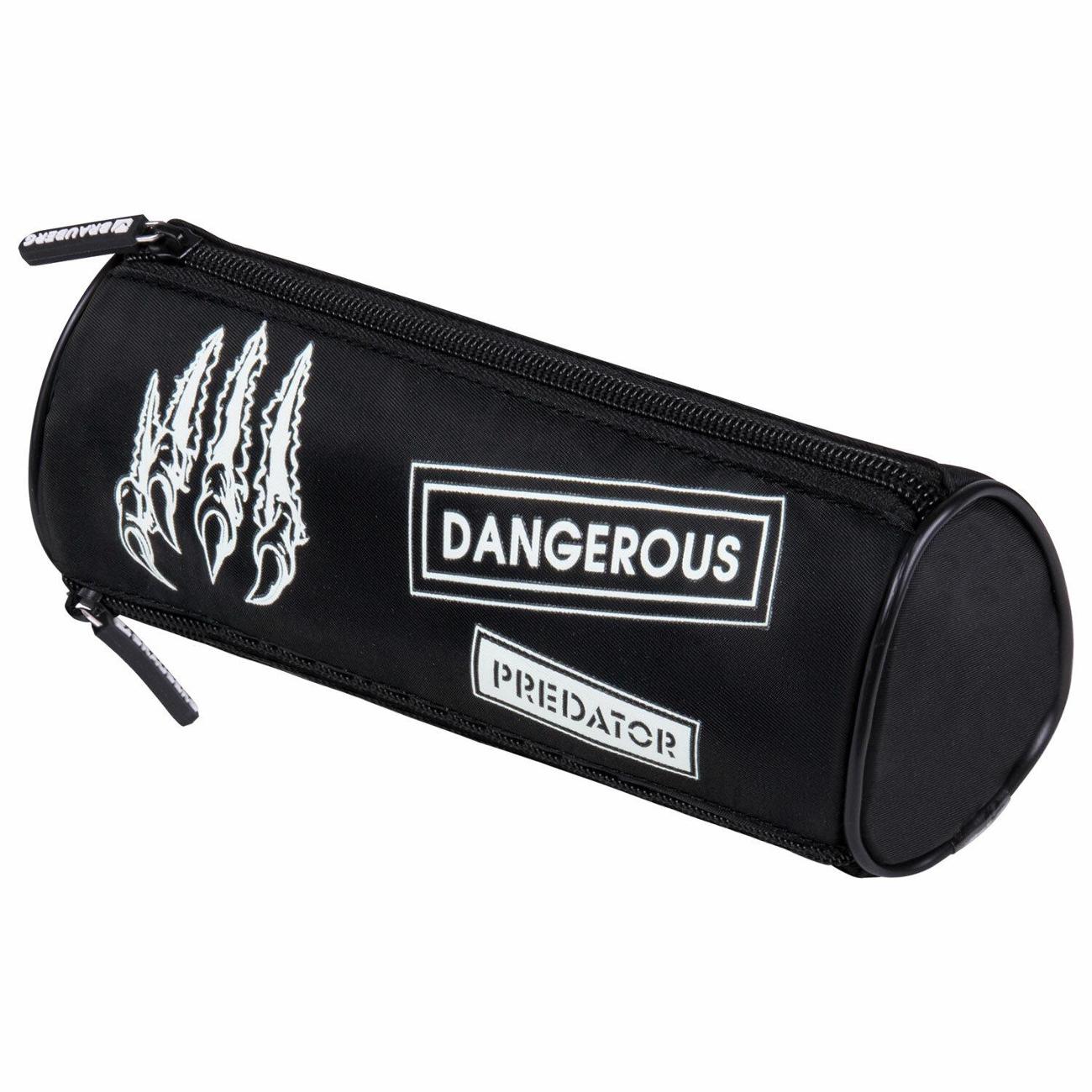 Пенал детский Brauberg 272307