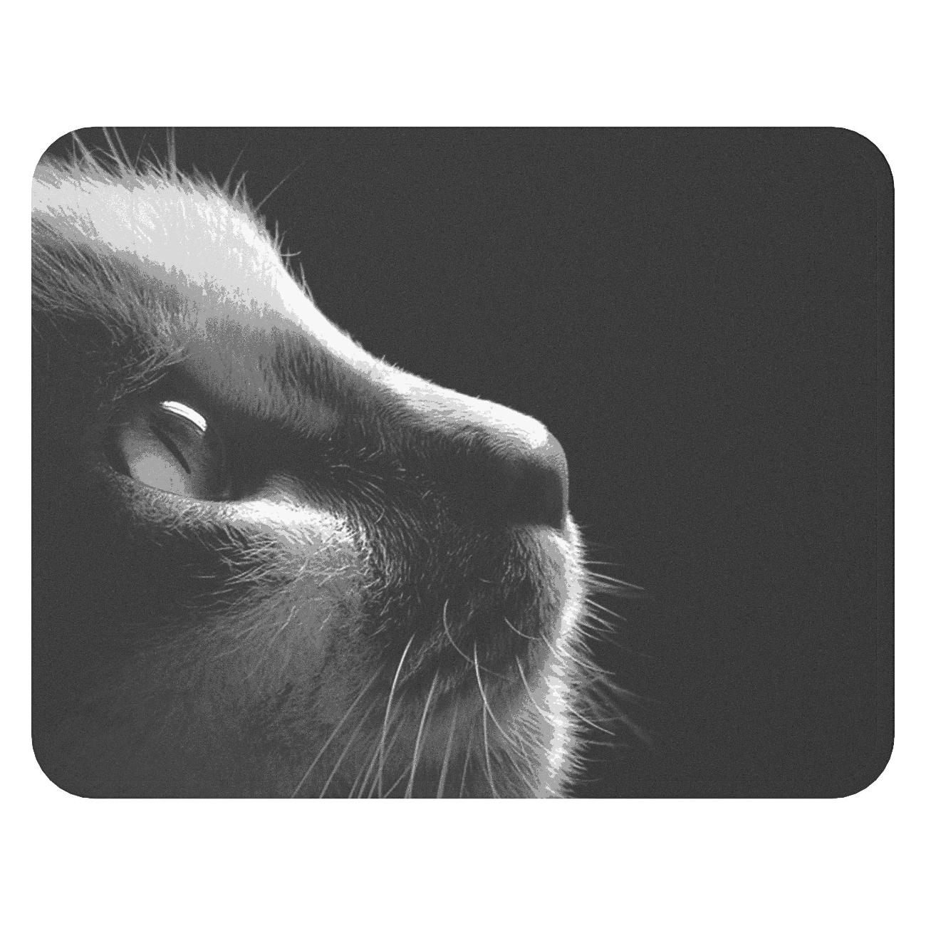 Коврик для мыши Hi MP001 фото