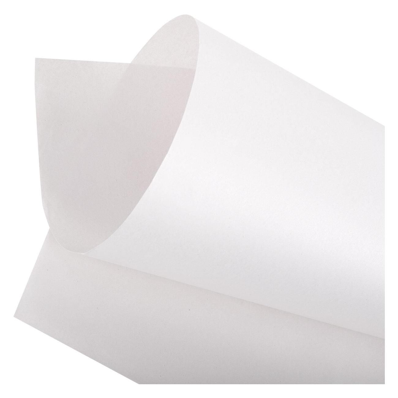 Бумага для творчества и упаковки Brauberg 665565