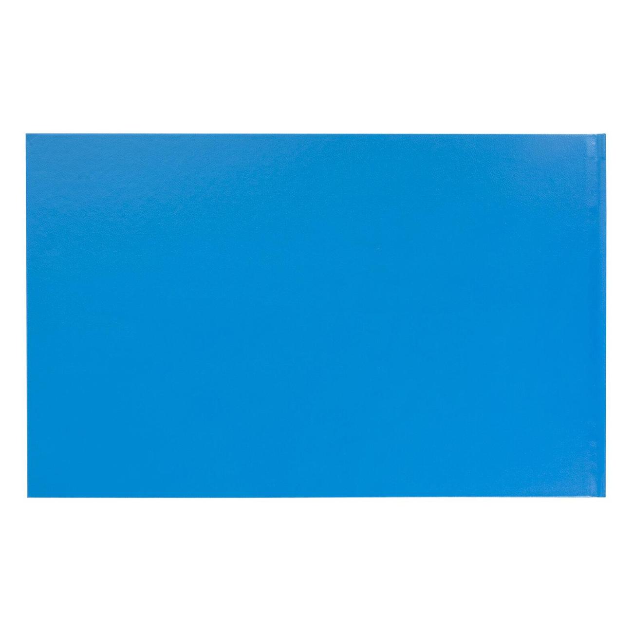 Книга учета Brauberg 130074