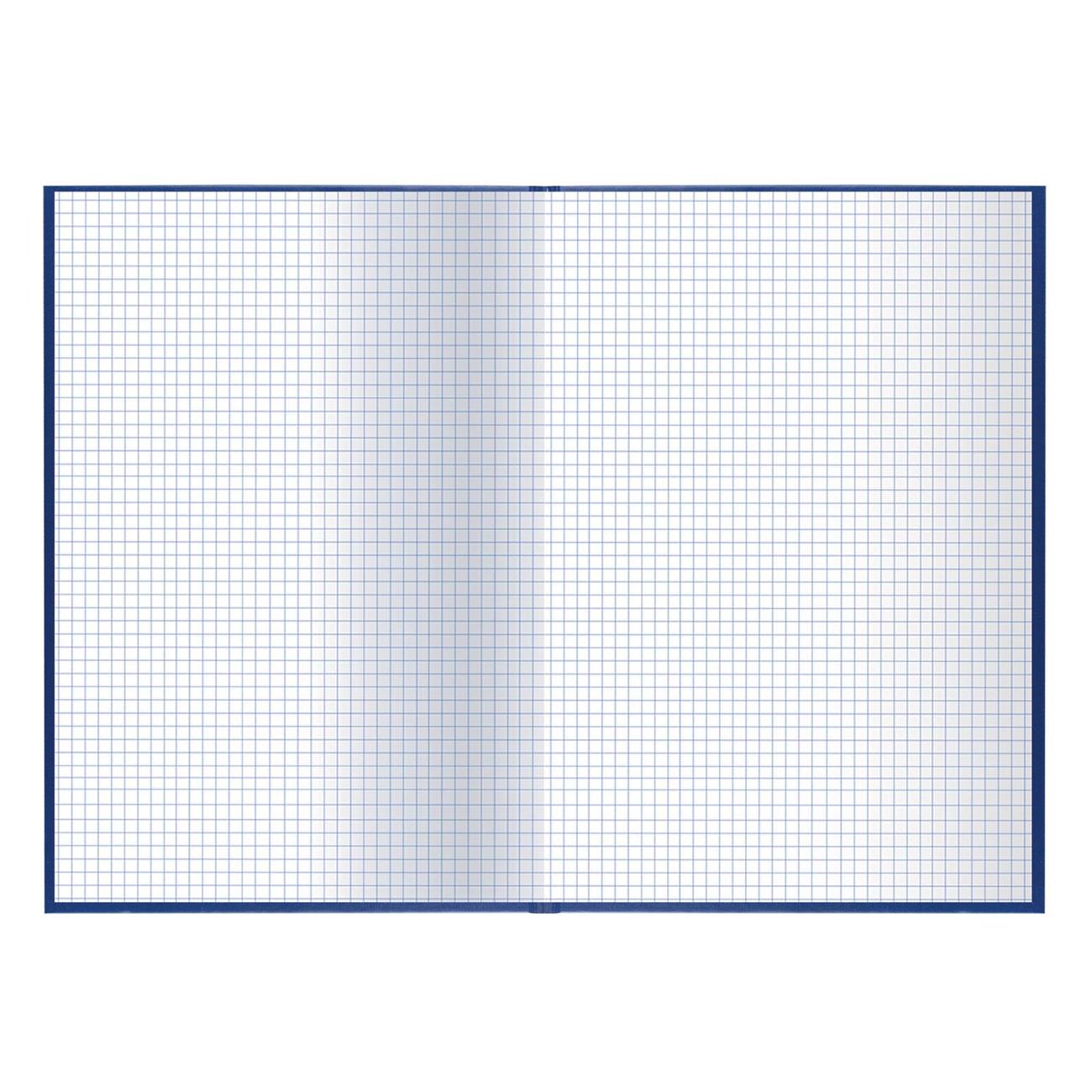 Книга учета Brauberg 130141