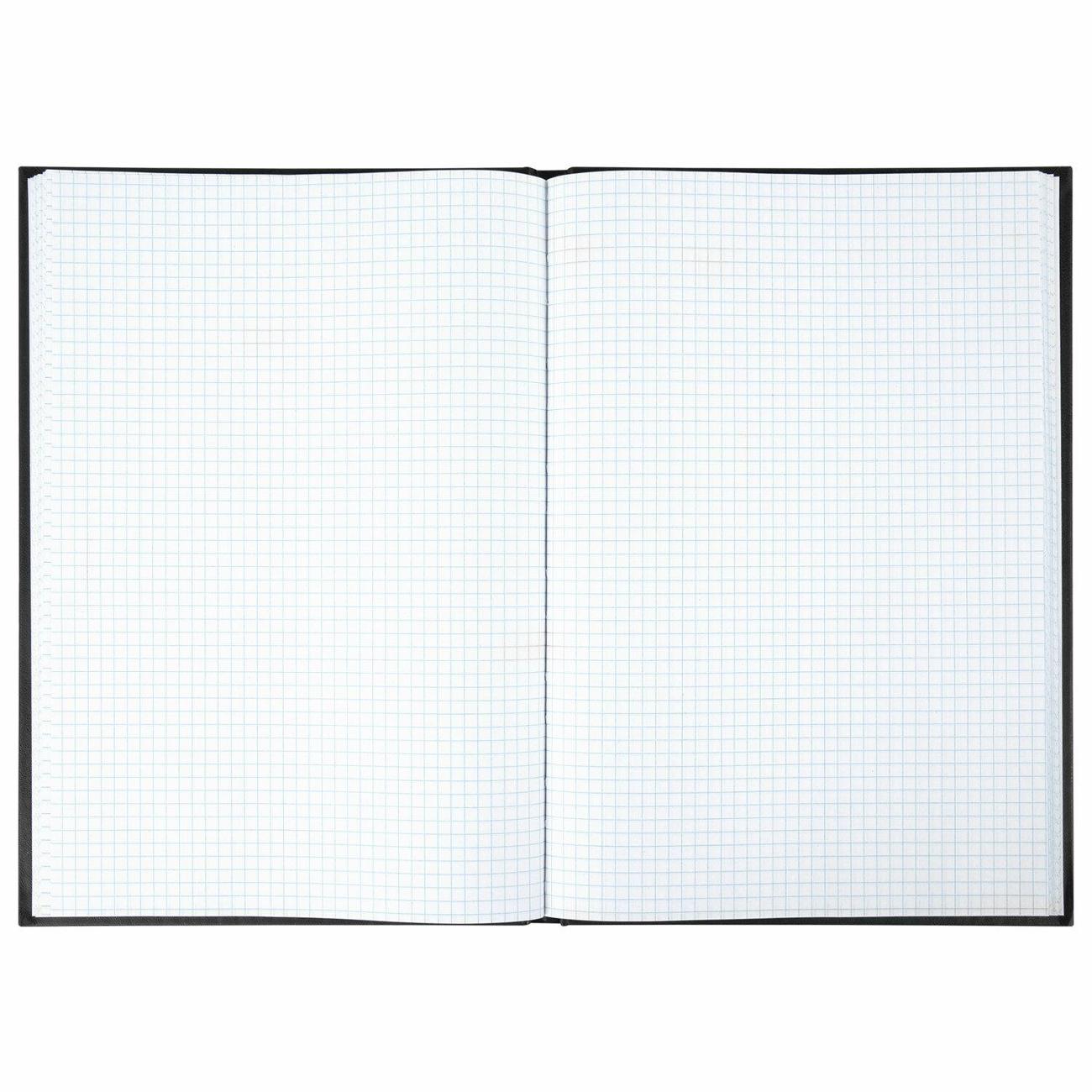 Книга учета Brauberg 130278