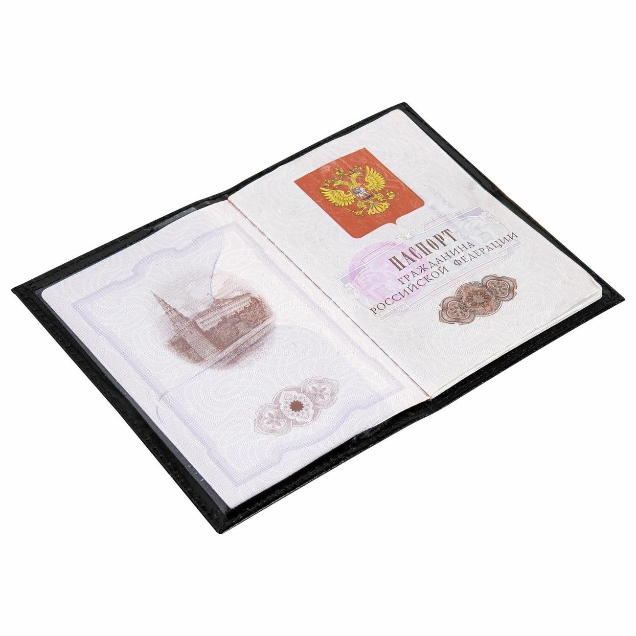 Обложка для документов Brauberg 238201