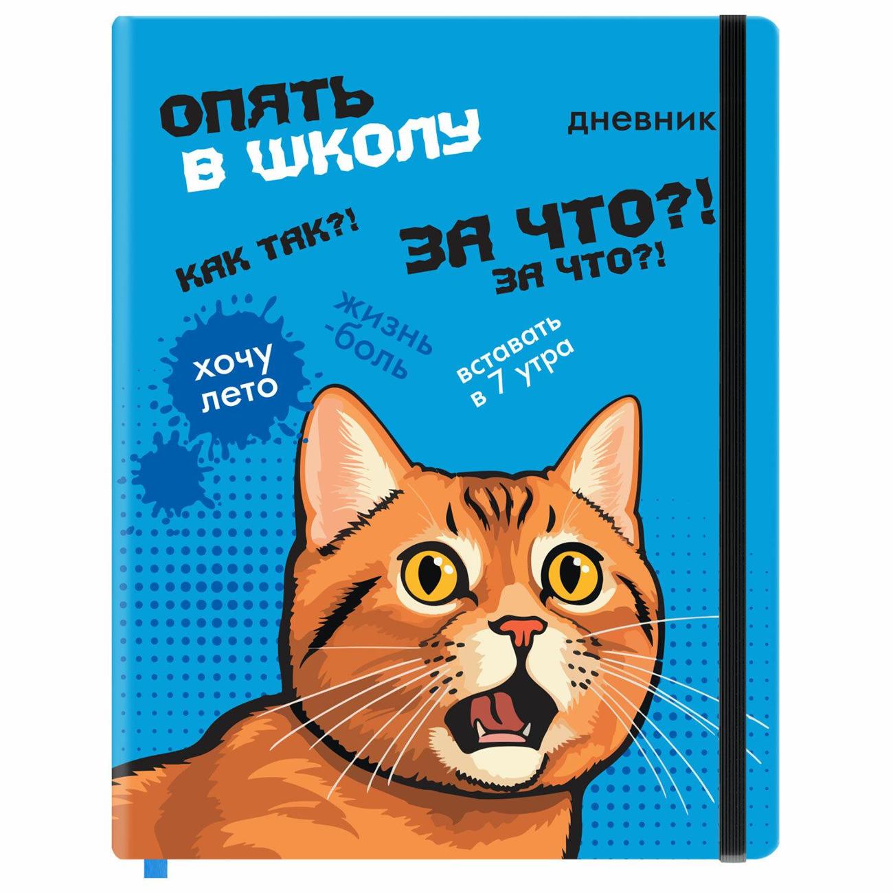 Школьный дневник Brauberg 107231