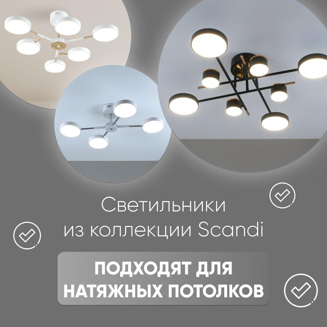 Светильник Moderli V10963-CL