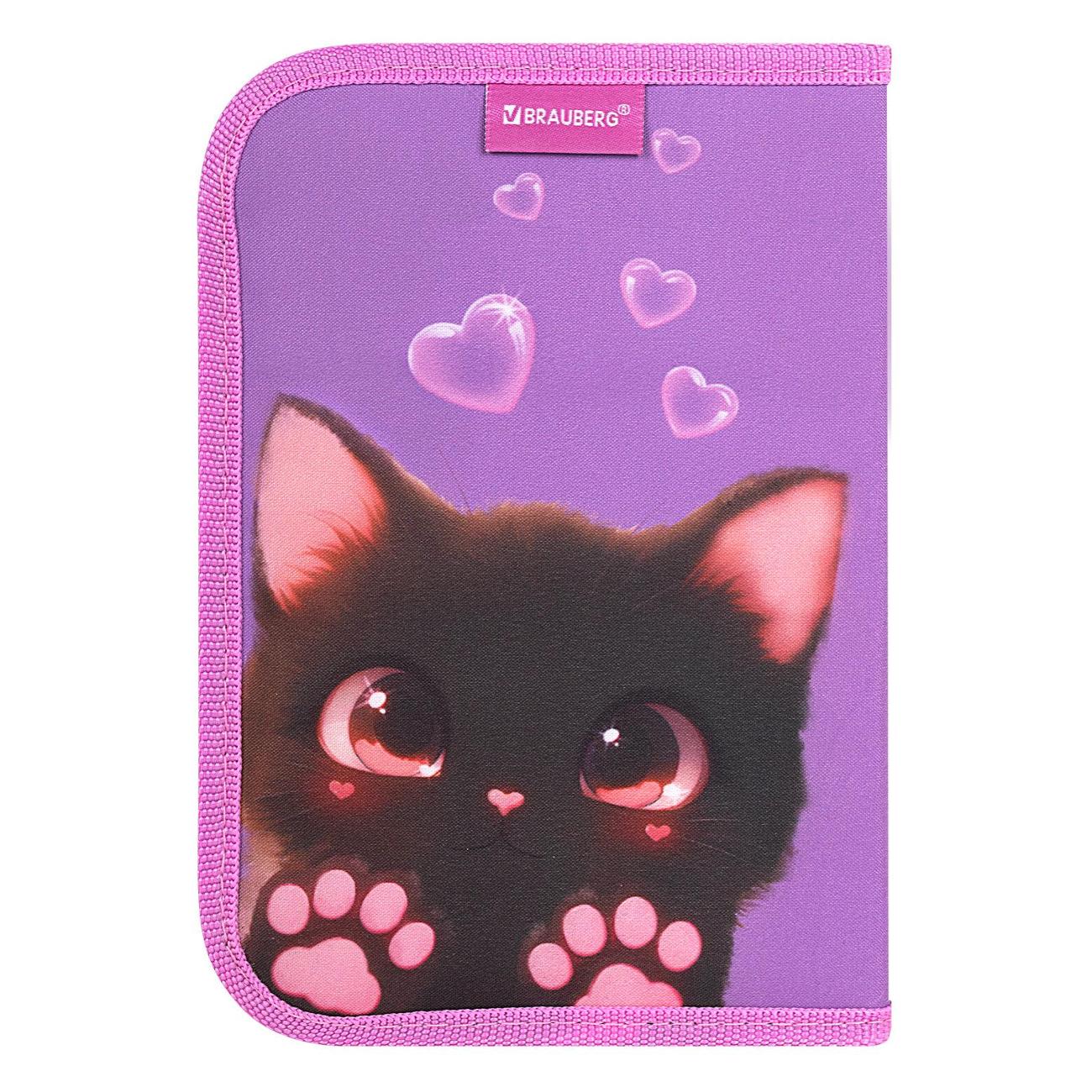 Пенал детский Brauberg 273526