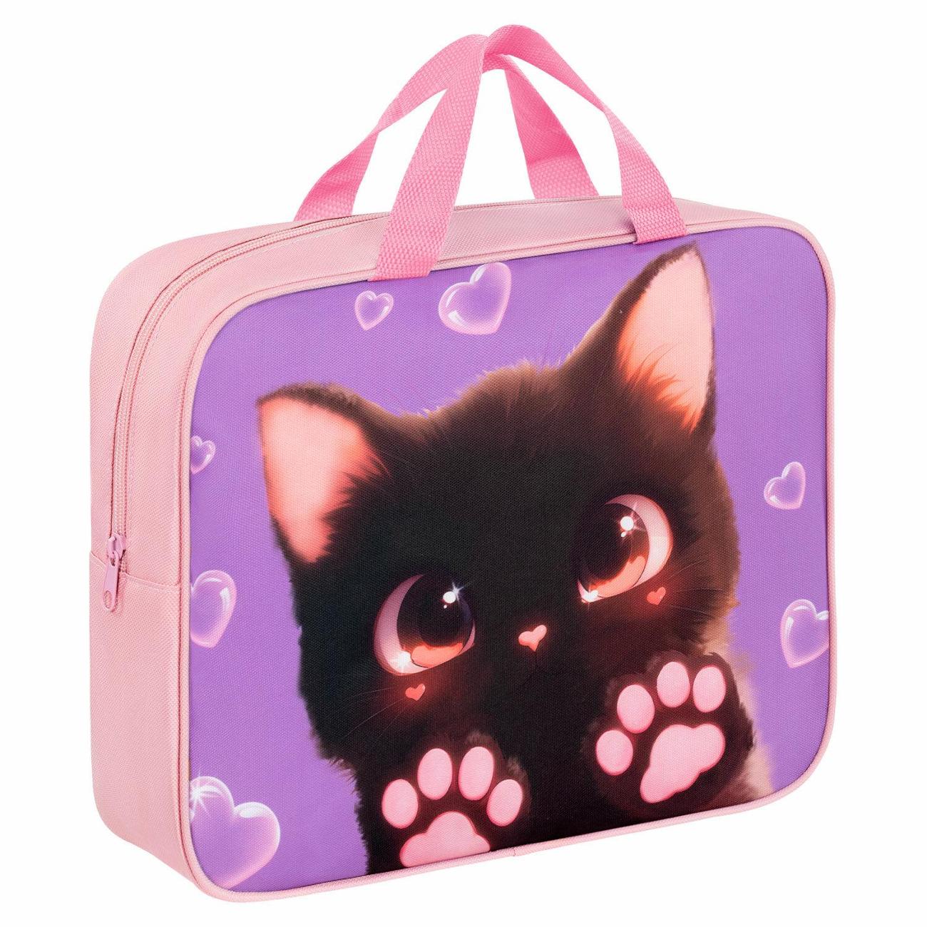 Папка для рисунков и чертежей Brauberg 273300