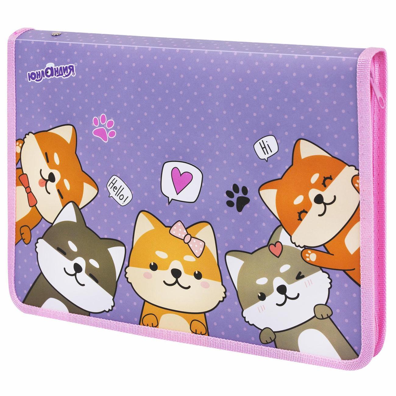 Папка для рисунков и чертежей Юнландия 273392 фото