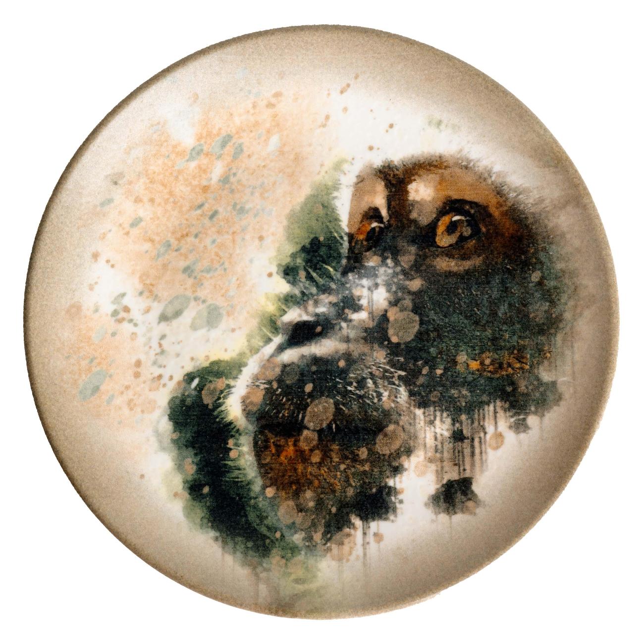 Тарелка столовая BONNA Savanna 27 см