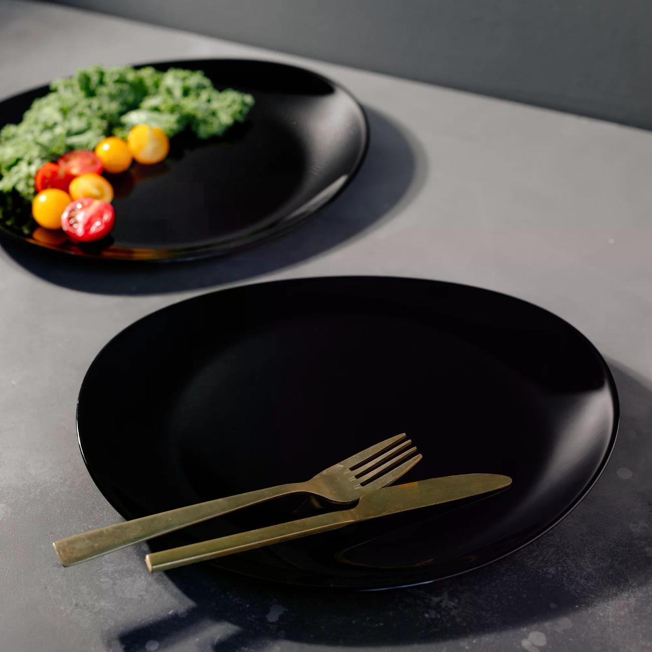 Набор Arcoroc для стейков Evolution 2 шт 30*26 см