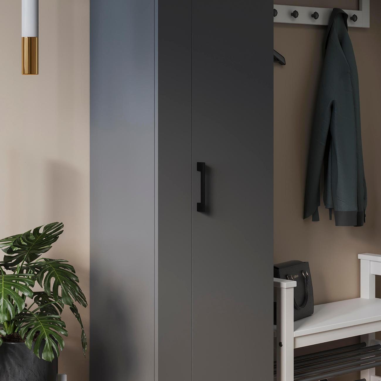 Шкаф для прихожей Трия Эрика 274278