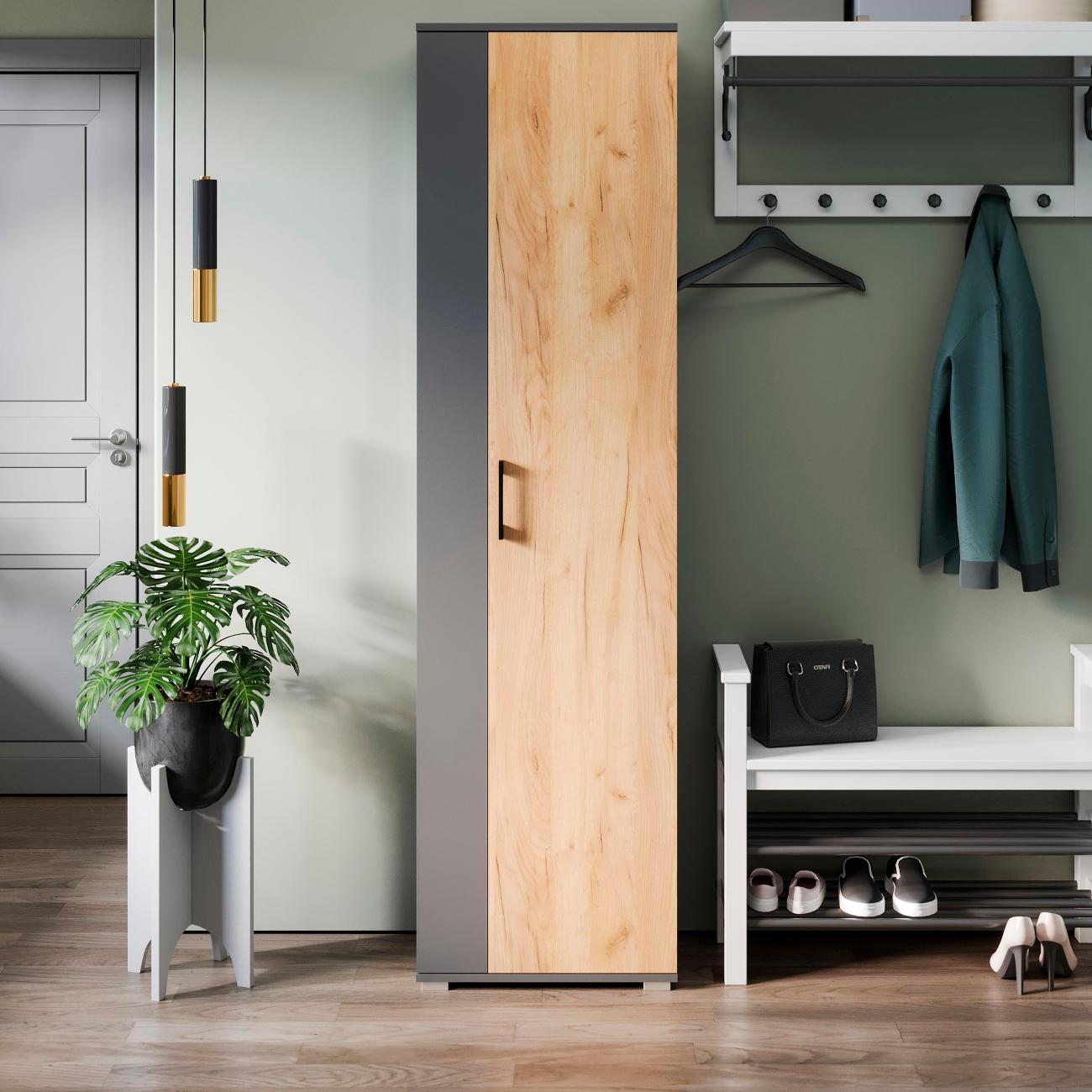 Шкаф для прихожей Трия Эрика 274279