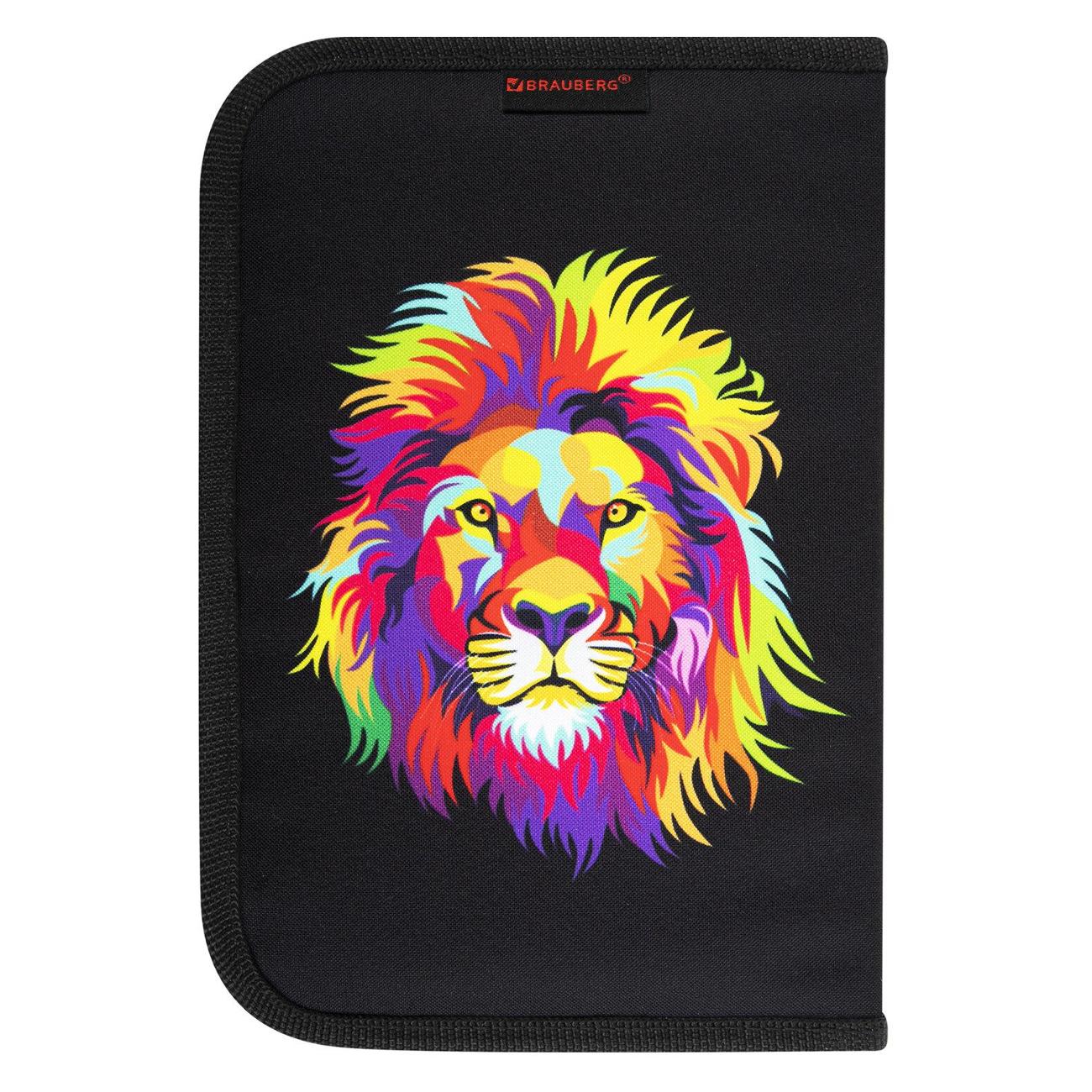 Пенал детский Brauberg 270725