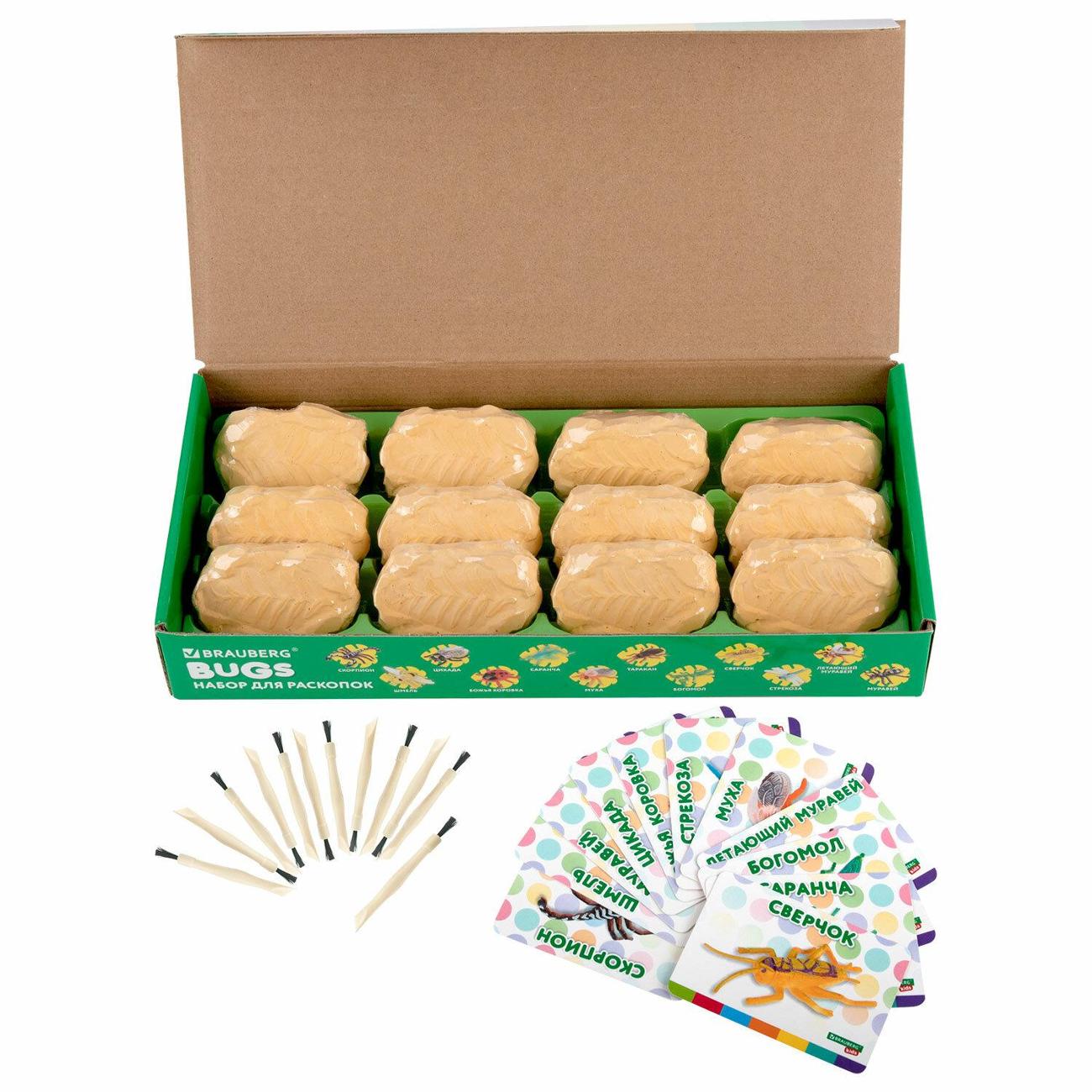 Набор для раскопок Brauberg 665127