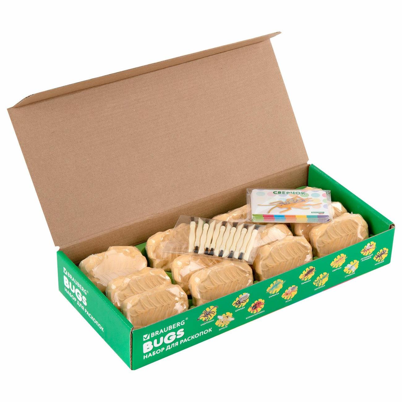 Набор для раскопок Brauberg 665127