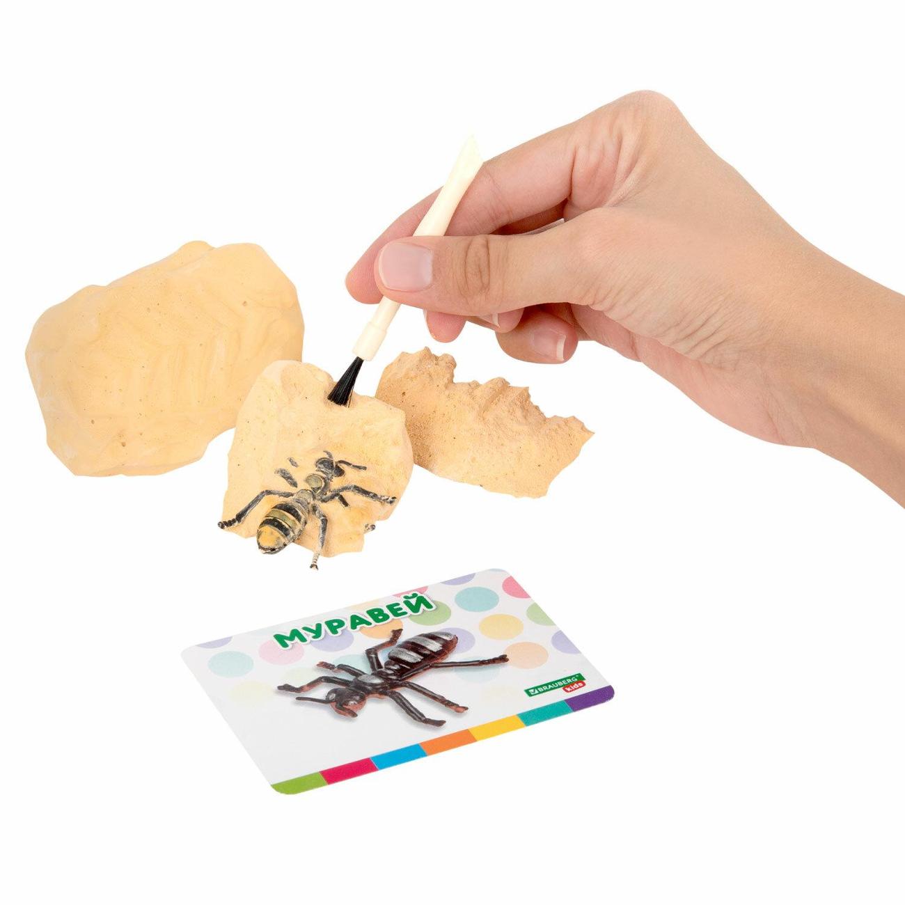 Набор для раскопок Brauberg 665127