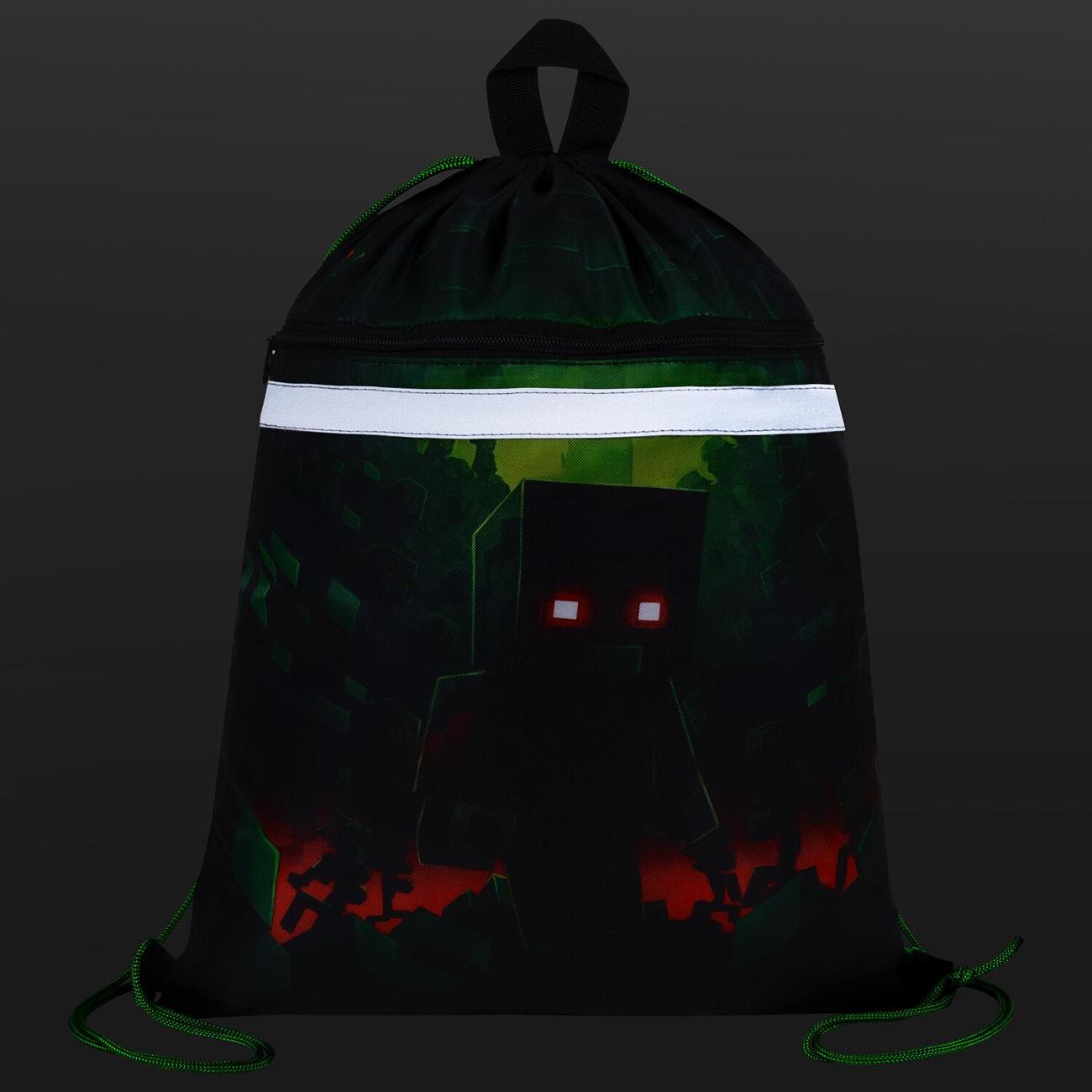 Сумка для обуви Brauberg с петлей, светоотраж, 2 отдел,46х36см, (272396)