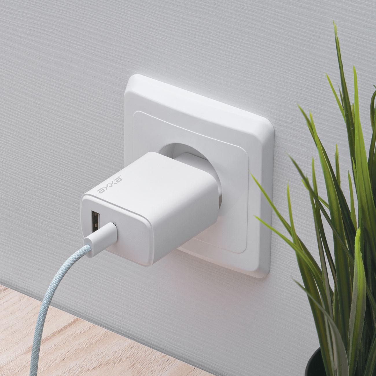 Сетевое зарядное устройство Axxa USB-C + USB-A, PD 3.0, QC 4.0+, 20W, белый, 2415