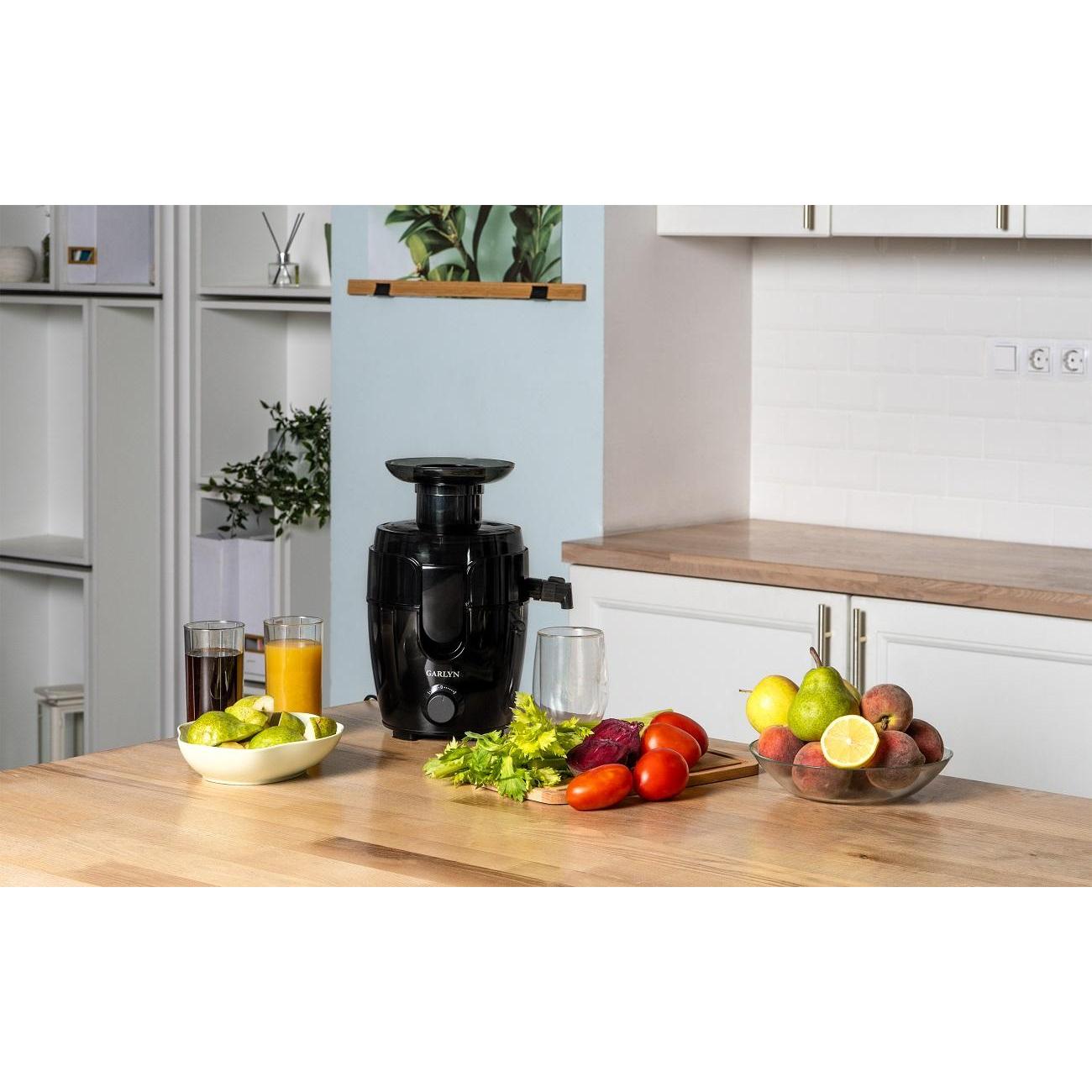 Соковыжималка центробежная Garlyn J-150