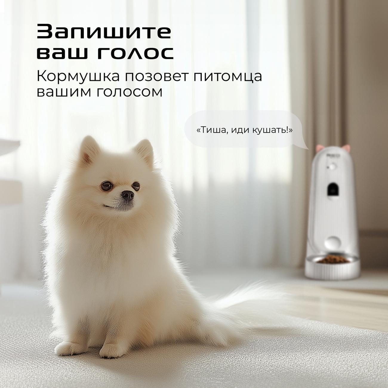 Умная кормушка с видеокамерой для животных RED SOLUTION 03CS